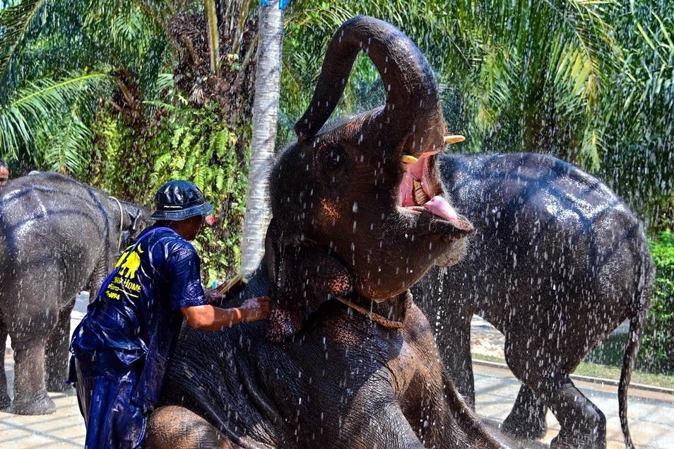 Mai Khao Adventure