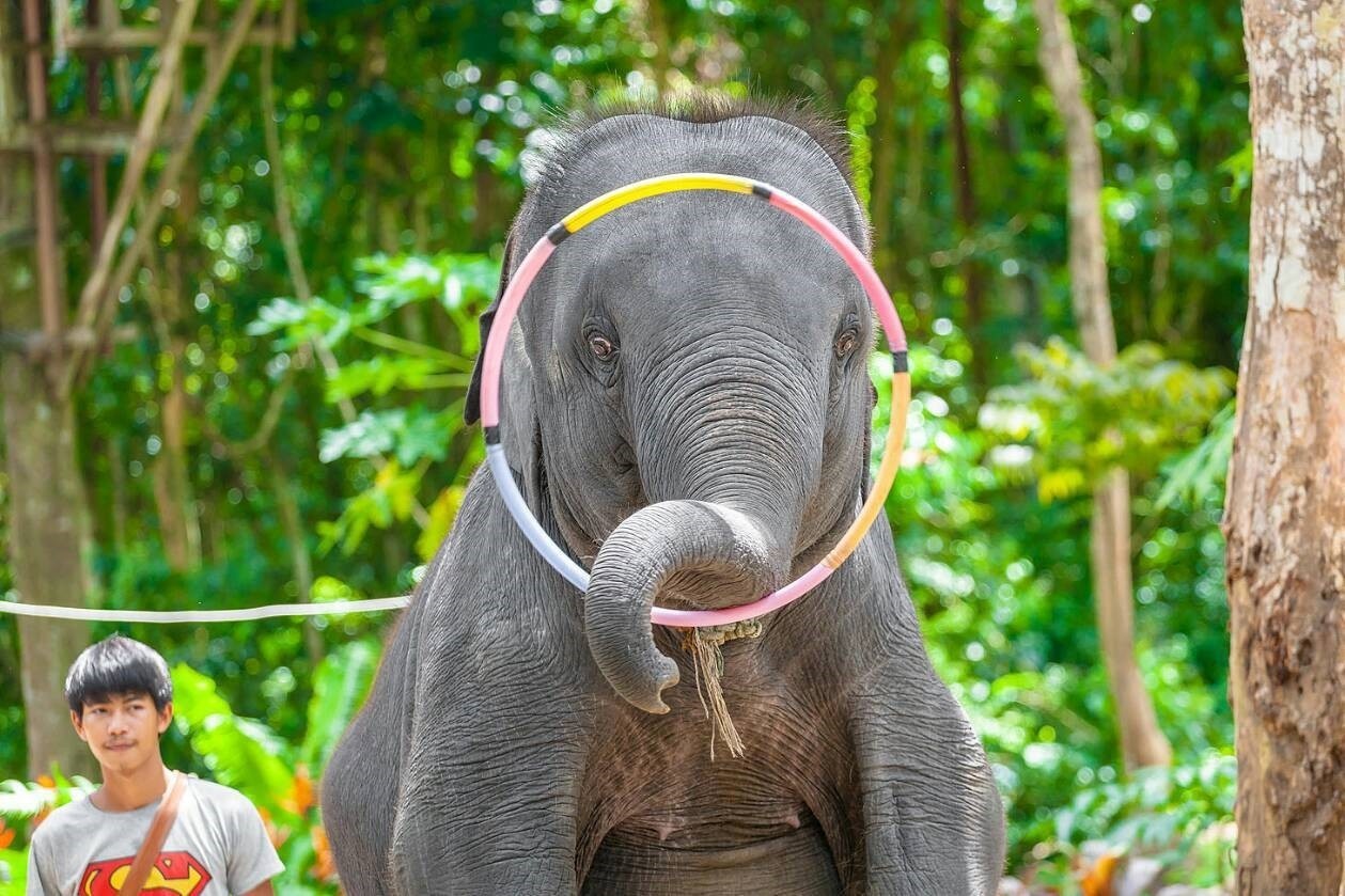 Bang Kaew Adventure